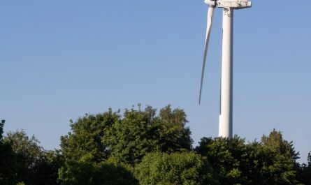 découvrez des alternatives écologiques pour un mode de vie durable. explorez des solutions respectueuses de l'environnement qui réduisent votre empreinte carbone tout en préservant notre planète.