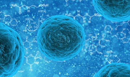 découvrez l'univers fascinant du bio-printing, une technologie innovante qui utilise l'impression 3d pour créer des organes biologiques et des tissus vivants. explorez les applications révolutionnaires de cette technique dans la médecine régénérative et la biotechnologie.