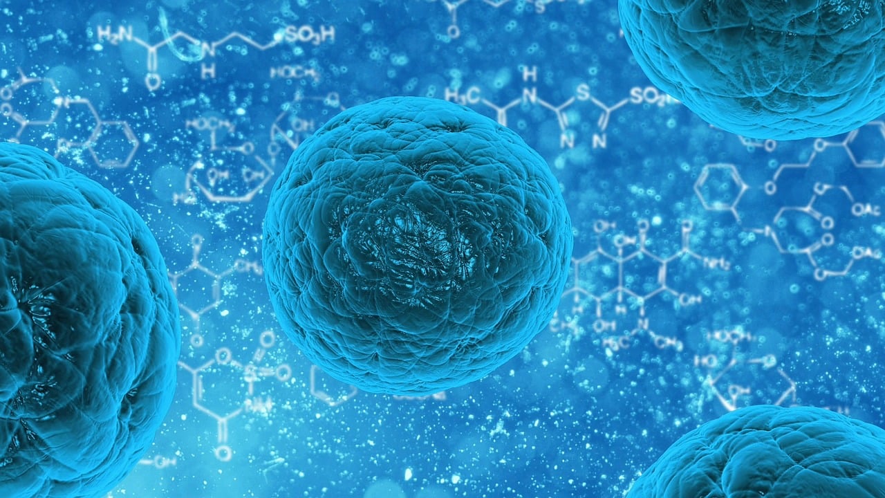 découvrez l'univers fascinant du bio-printing, une technologie innovante qui utilise l'impression 3d pour créer des organes biologiques et des tissus vivants. explorez les applications révolutionnaires de cette technique dans la médecine régénérative et la biotechnologie.