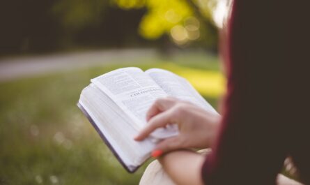 découvrez l'éducation en plein air : une approche d'apprentissage unique qui stimule la curiosité et le développement des compétences chez les jeunes, tout en favorisant un lien profond avec la nature.